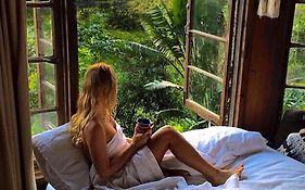 The Den Of The Treehouse